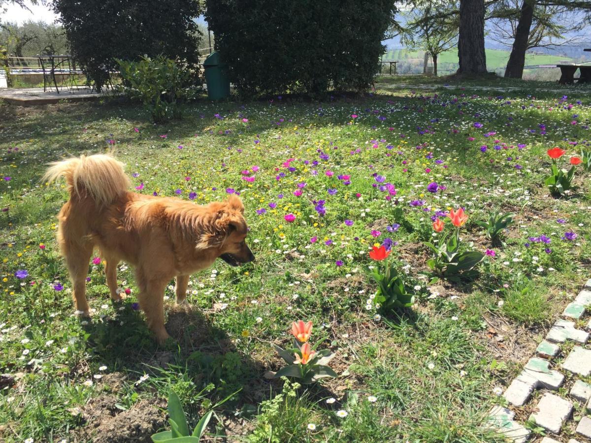 Casale Fusco Villa Spoleto Dış mekan fotoğraf