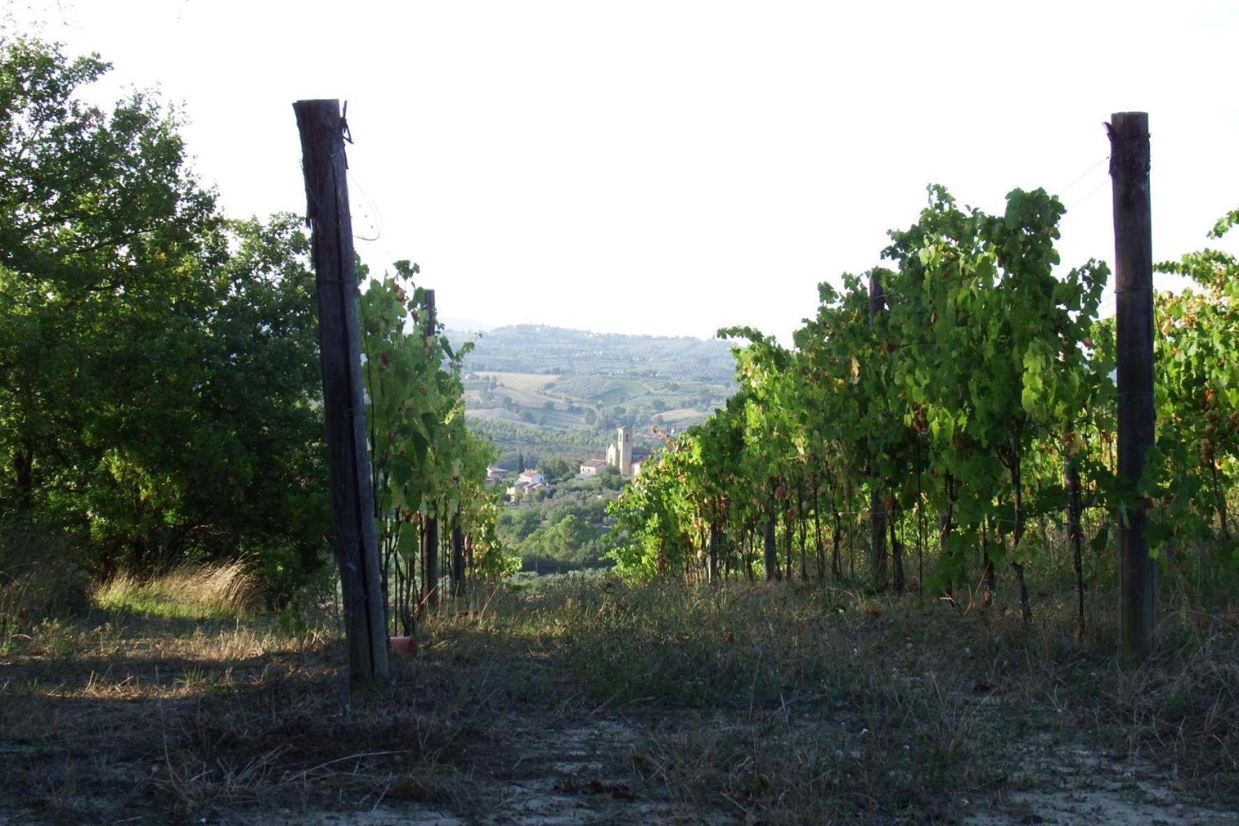 Casale Fusco Villa Spoleto Dış mekan fotoğraf