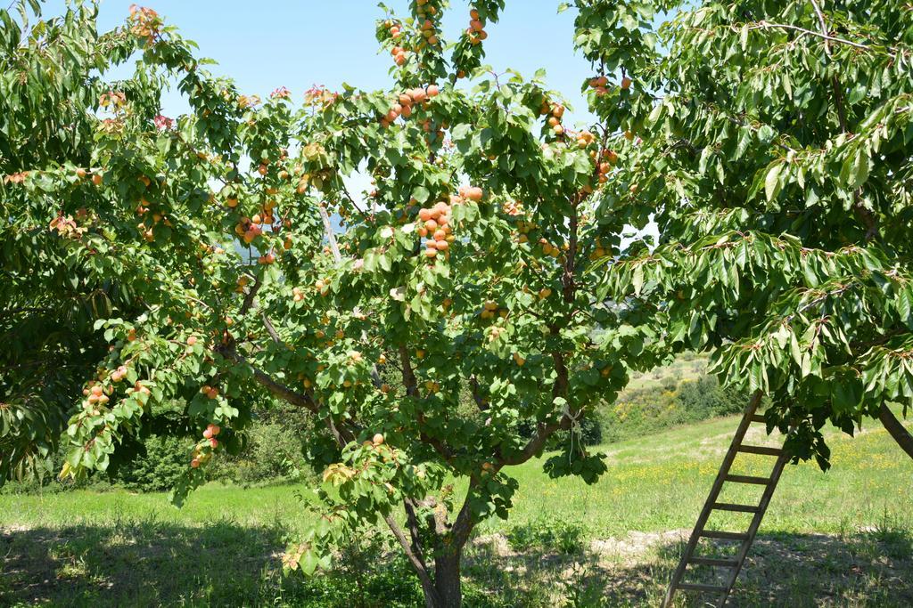 Casale Fusco Villa Spoleto Dış mekan fotoğraf