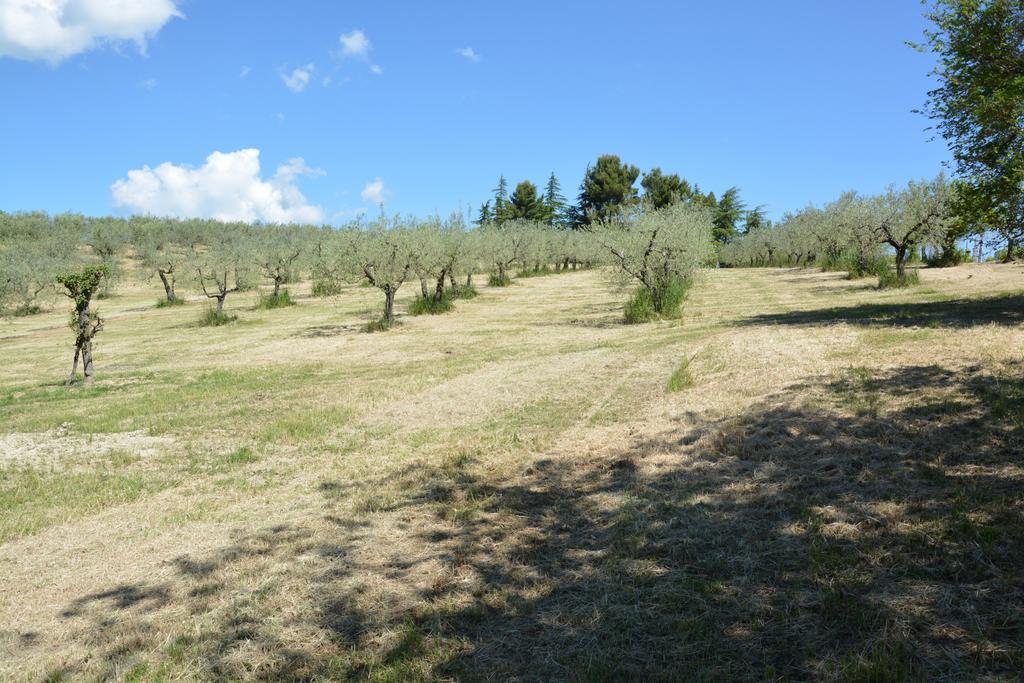 Casale Fusco Villa Spoleto Dış mekan fotoğraf