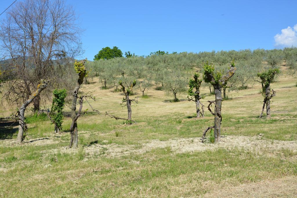 Casale Fusco Villa Spoleto Dış mekan fotoğraf