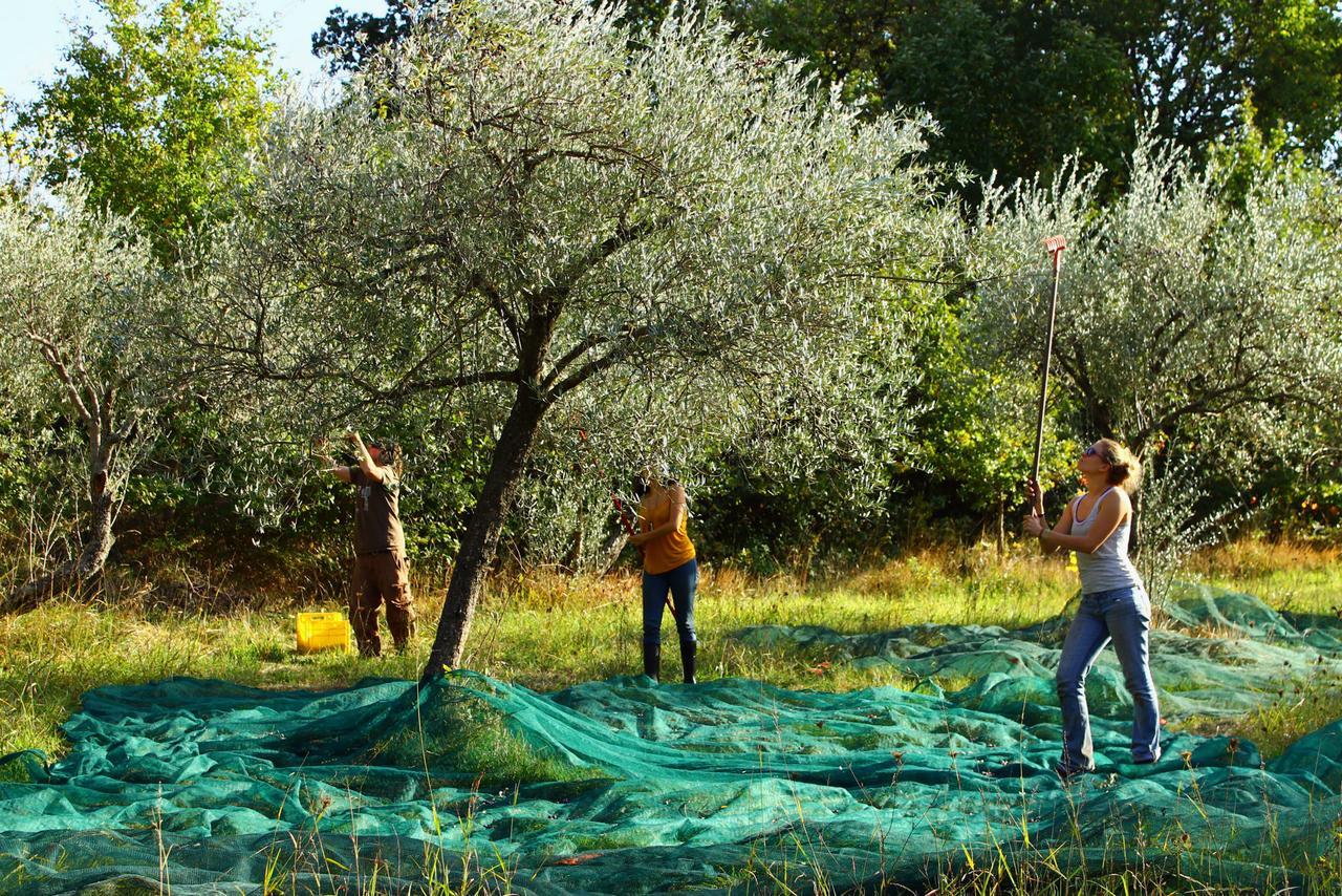 Casale Fusco Villa Spoleto Dış mekan fotoğraf